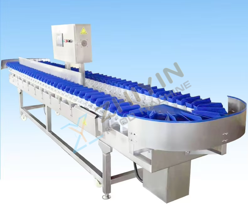 White-Striped Chicken Sorter Turntable Weight Sorting Machine for Seafood Fruit Kiwi-Box-Type Weighing Equipment for Vegetables